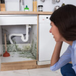 Mold Odor From Kitchen Sink