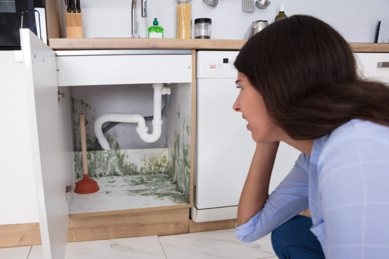 Mold Odor From Kitchen Sink