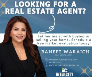 Top Realtor in Brampton