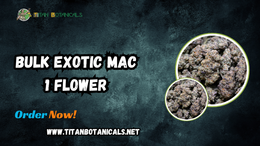 Bulk Exotic Mac 1 Flower