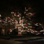 Christmas lighting