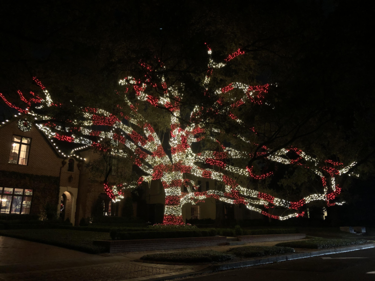 Creative Christmas Lighting Ideas to Brighten Your Home