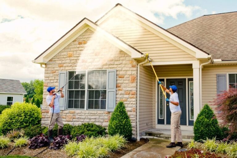 What Makes Soft Washing Services Ideal Delicate Surface What Makes Soft Washing Services Ideal Delicate Surface