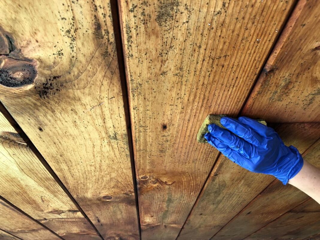 How To Get Mold Off Wood Furniture After A Hurricane