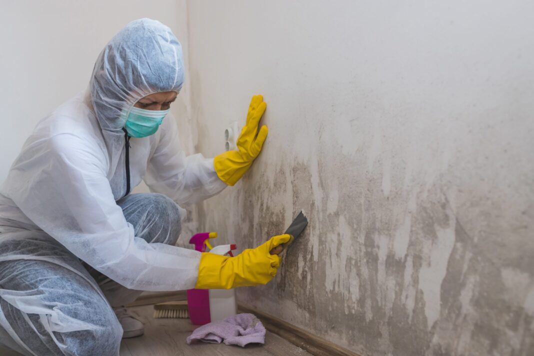 How Can Black Mold Make You Sick?