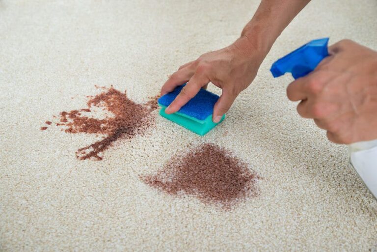 Is Carpet Stain Removal in Sydney Overrated or Necessary?