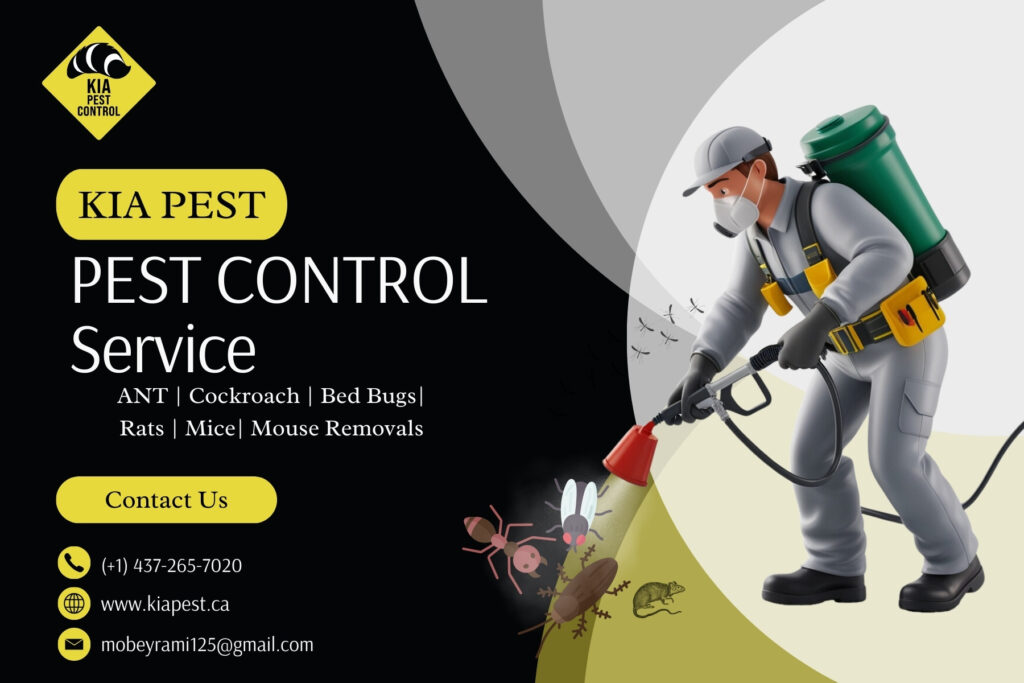 Best Pest Control Services