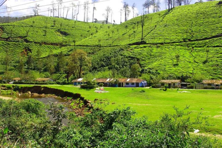 Romantic Kerala honeymoon from Ahmedabad: Things to Do