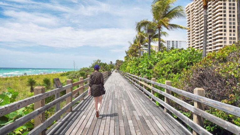 Miami Commercial Photographer Bring Professional Shoot Miami Commercial Photographer Bring Professional Shoot