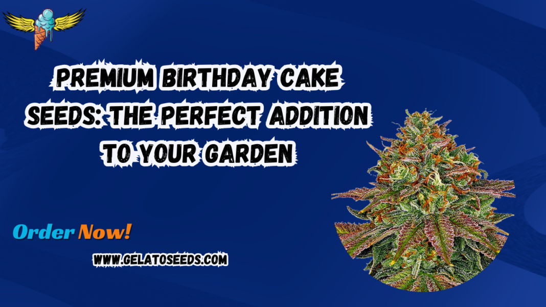 birthday cake seeds