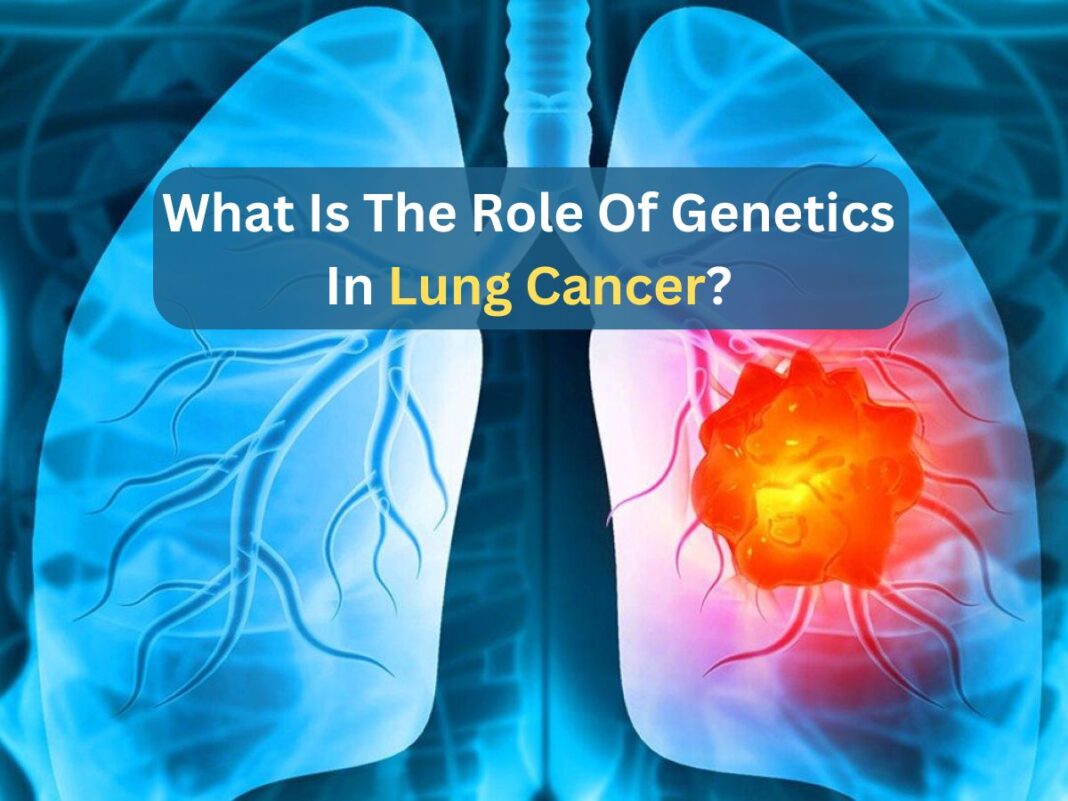 What Is The Role Of Genetics In Lung Cancer