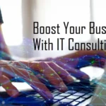 information technology consultant