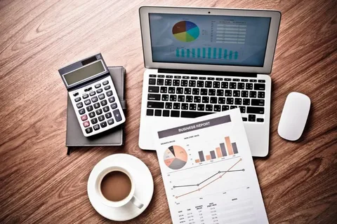 Why Should You Hire an Accounting Consultancy in Dubai