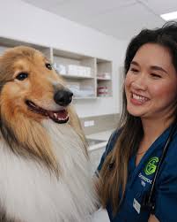 Pets care in Australia