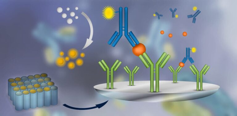 ELISA Assay