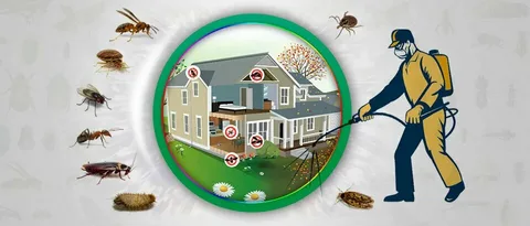 Discover reliable pest control services in Lahore that offer effective termite treatment solutions to protect your property and ensure a pest-free environment.