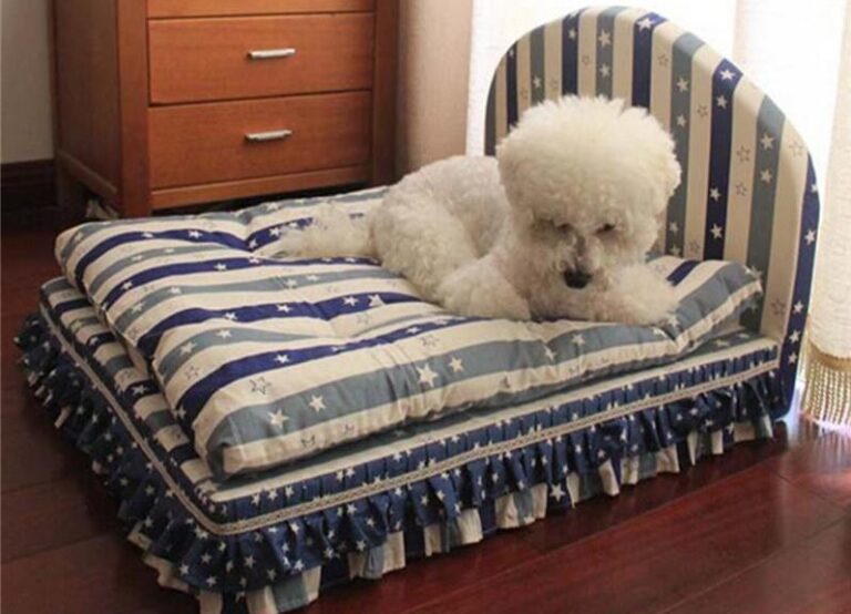 Eco-Friendly Pet Products: Sustainable Choices for Pets