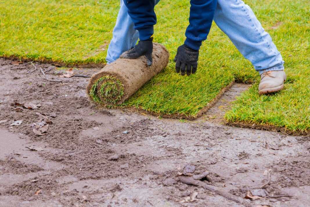 How to Handle Sod Installation in Shaded Areas