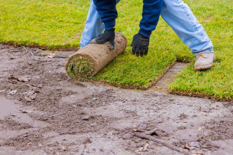 How to Handle Sod Installation in Shaded Areas How to Handle Sod Installation in Shaded Areas