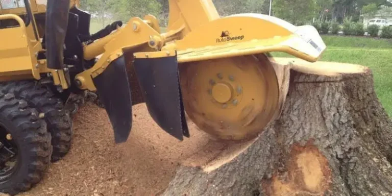 Top 5 Benefits of Stump Grinding for Your Property