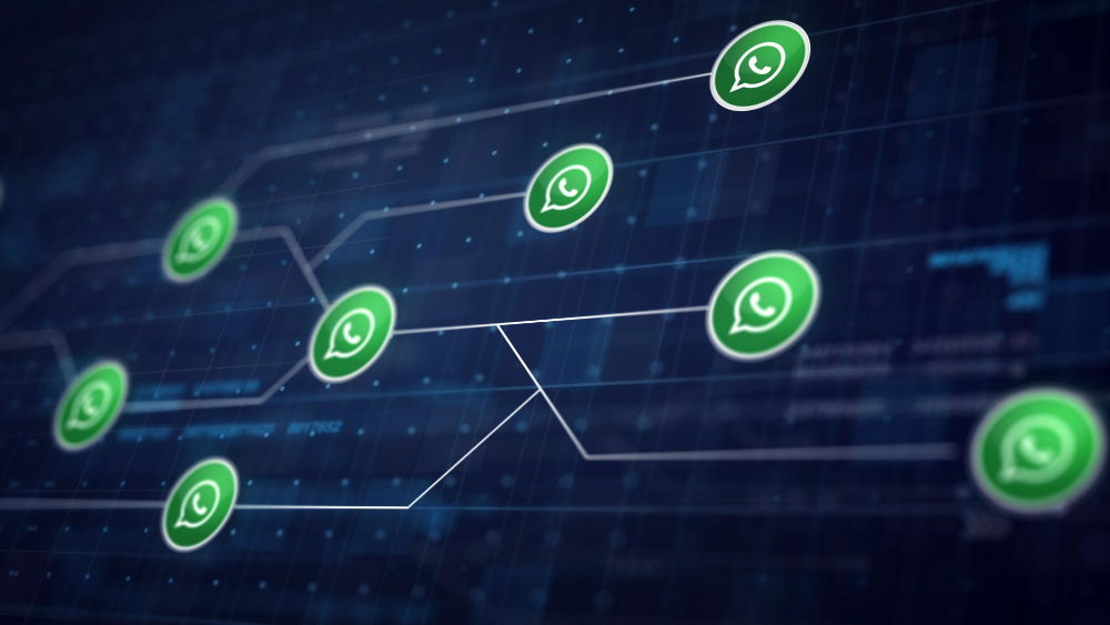 Whatsapp API services