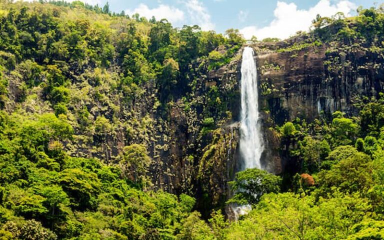 Top Things to Know Before Visiting New Zealand Top Things to Know Before Visiting New Zealand