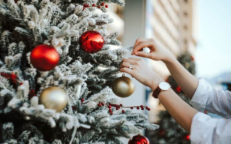 Top 5 Reasons to Visit Egypt in the Christmas Season Top 5 Reasons to Visit Egypt in the Christmas Season