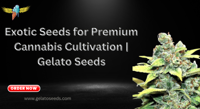 Exotic Seeds for Premium Cannabis Cultivation Exotic Seeds for Premium Cannabis Cultivation
