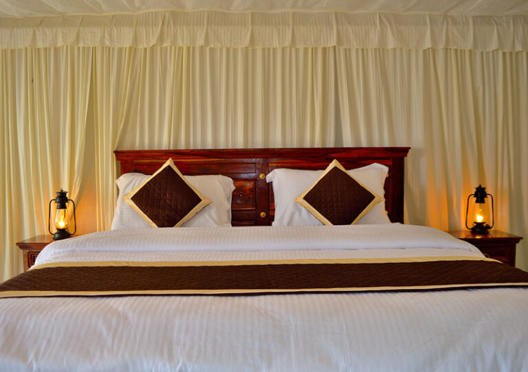 Where Luxury Meets Adventure: Thour Nature Resorts