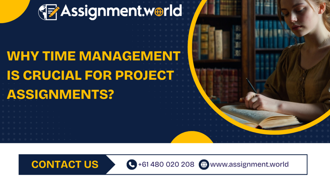 project management assignment help