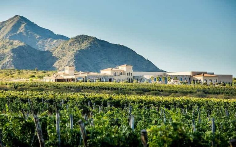 Guide to the Best Activities Around Salta, Argentina