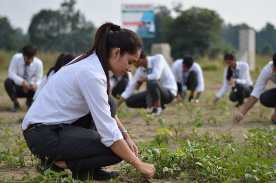 How B.Sc. Agriculture Prepares You for Smart Agriculture