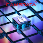 The Role of the Best Cybersecurity Companies in Protecting Your Data