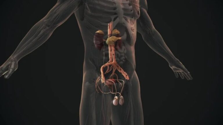 Urinary Tract Infections Symptoms, Causes, and Care Urinary Tract Infections Symptoms, Causes, and Care