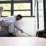 how to become an exterminator