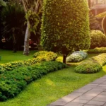 best landscapers