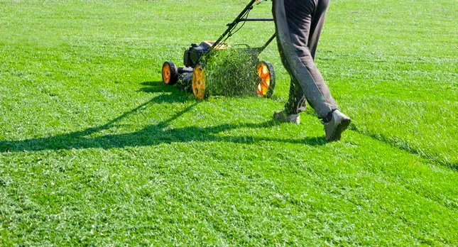 Irving Lawn Service
