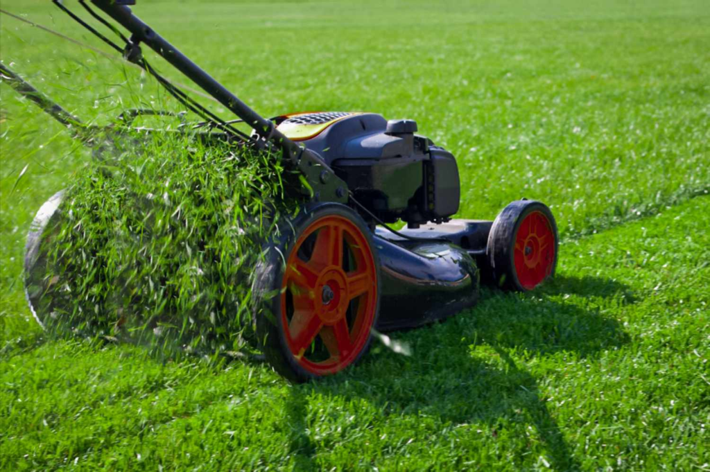 Irving Lawn Service
