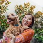 Pets Care