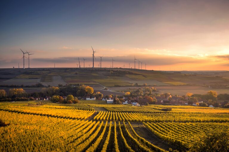 Renewable Energy: Overcome Setback to Promising Future