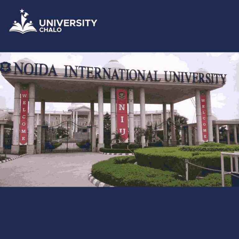 Why Choose NIU for Specialized Degree Programs