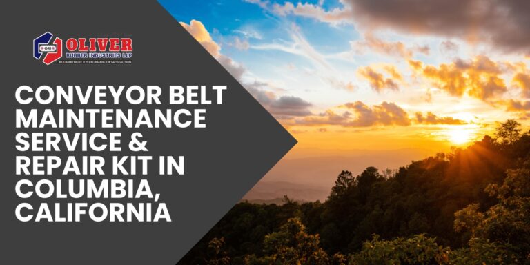 Conveyor Belt Maintenance Service & Repair Kit in Columbia, California