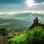 Things to Do in Kerala