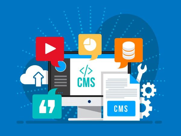 Why Skipping Custom Web Development Could Cost You Big