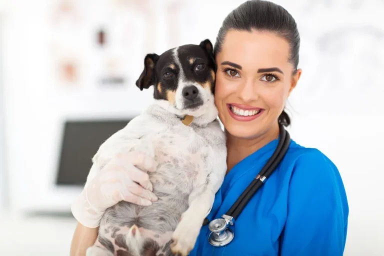 Top Recommended Gifts for Pet Owners – Meaningful Ideas