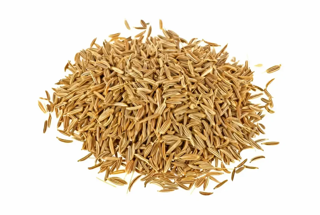 Cumin Seeds