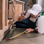 Pest Control for Your Home And A Complete Guide