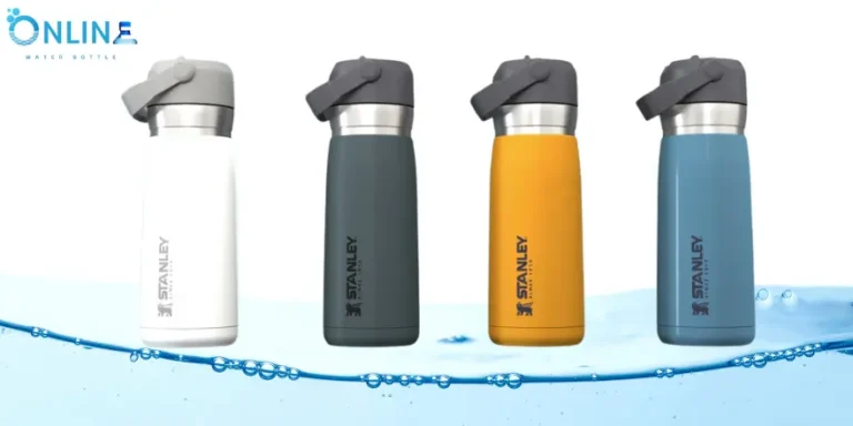 Stainless Steel Insulated Bottle: Travel for Hydration
