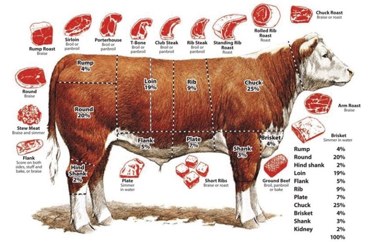 Why Buy Whole Cow Provides Unmatched Value and Flavor Why Buy Whole Cow Provides Unmatched Value and Flavor