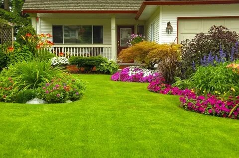 Can Landscaping Experts Create a Maintenance Garden?